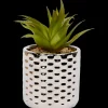 Kunstvetplant in pot | Action NL
