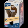 Led lamp 3.5 watt 230 lm | Action NL