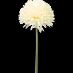 The Hamptons Collections HOME bolchrysant op steel | Action NL