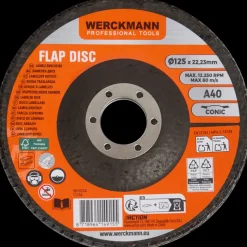 Werckmann lamellenschijf | Action NL